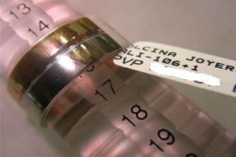 Alianza Joyeria Madrid